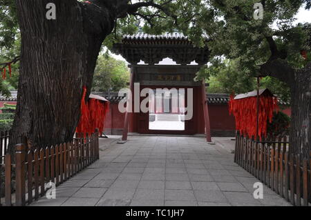 Tempio Longxing (Grande Tempio del Buddha) in Zhengding, Shijiazhuang, nella provincia di Hebei Foto Stock