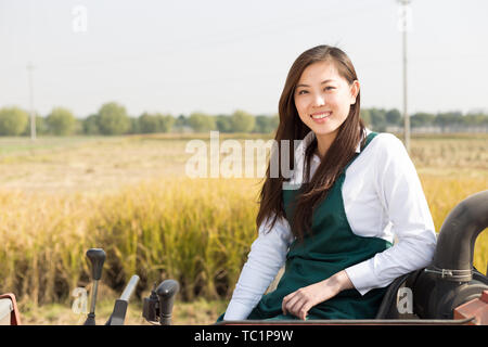 Giovane donna cinese agonomist in golden campo di cereali con piccole harvester Foto Stock