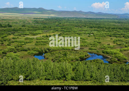 Scenario del Fiume Gen zona umida prateria, Hulunbuir Città della Mongolia interna Foto Stock