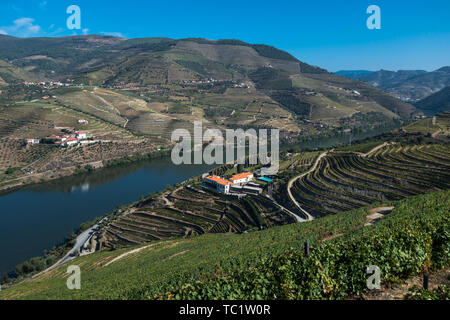 Guardando verso il basso sulla quinta edifici in lussureggianti vigneti terrazzati su una collina lungo il fiume nella valle del Douro in autunno Foto Stock