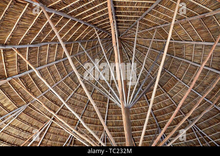 Benab tradizionale Amerindiano nel Villaggio Amerindiano di Wowetta Guyana Sud America Foto Stock