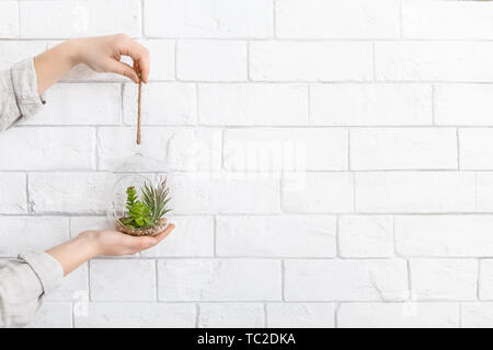 Mini florarium vetro vaso in donna di mani Foto Stock