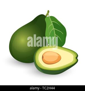 Avocado maturo tagliato a metà con foglia illustrazione vettoriale. Illustrazione Vettoriale