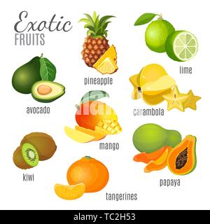 Frutti Esotici avocado, ananas, papaya, mandarino, mango, kiwi, carambole, calce Illustrazione Vettoriale