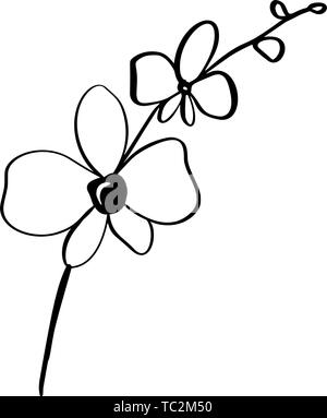 Bel vettore monocromatico sfondo floreale con orchidea ramo con fiori in stile grafico. Icona di illustrazione per il design Illustrazione Vettoriale