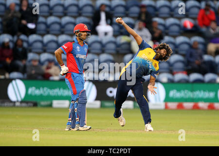Cardiff, Galles, UK. 04 Giugno, 2019. Il 4 giugno 2019, Sophia Gardens, Cardiff, Galles, ICC Cricket World Cup, Afghanistan versus Sri Lanka; Lasith Malinga bocce Credit: Azione Plus immagini di sport/Alamy Live News Foto Stock