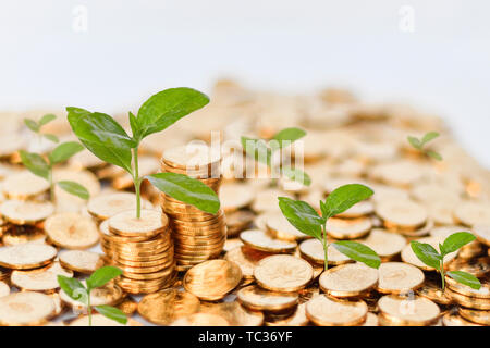 Monete d oro e piante, alberi che crescono sulle monete d'oro. Foto Stock