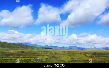 Gannan Sankoh Prairie Dagu Beach Prairie Foto Stock