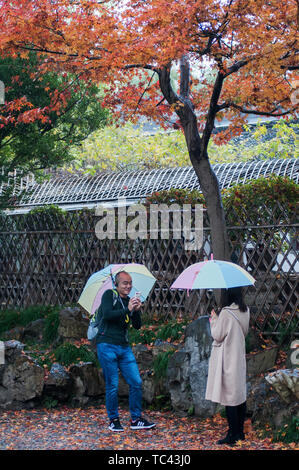 Suzhou Zheng giardino in autunno la pioggia Foto Stock