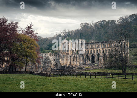 Nuvole scure appendere al di sopra del XI secolo le rovine di Rievaulx Abbey, uno di Inghilterra del più grande monasteri cistercensi, nel North York Moors Foto Stock