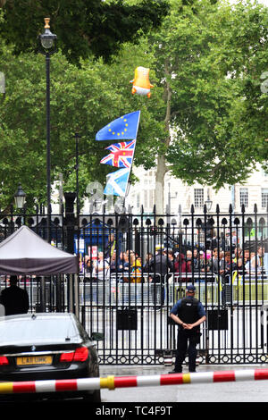 Donald Trump gonfiabile di Baby Blimp palloncino, Stati Uniti d'America visita presidenziale per il Regno Unito, Downing Street, Londra, Regno Unito, 04 giugno 201 Foto Stock