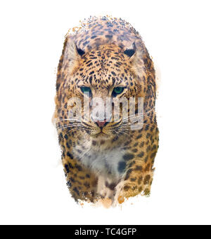 Ritratto ad acquerello di Leopard su sfondo bianco Foto Stock