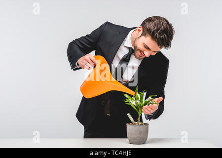 Imprenditore della tuta impianto di irrigazione con denaro isolato su grigio Foto Stock