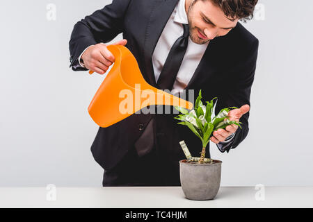 Imprenditore della tuta impianto di irrigazione con denaro isolato su grigio Foto Stock