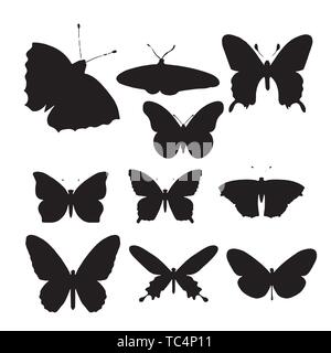 Set di farfalle, isolato su bianco, collezione di sagome, EPS 8. Set di farfalle, isolato su bianco, collezione di sagome, EPS 8. Illustrazione Vettoriale