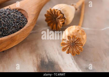 Cucchiaio con semi di papavero e teste a secco su tavola, primo piano Foto Stock