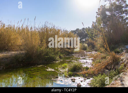 L'acqua stagnante in un fiume in Alcalalí, Spagna Foto Stock