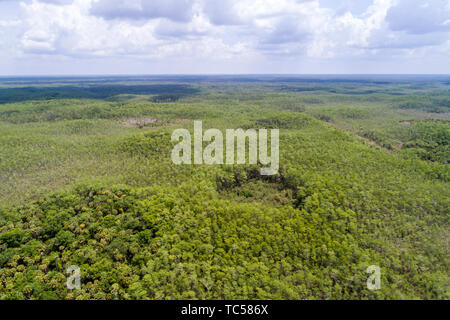 Naples Florida,Collier County,Everglades,Big Cypress National Preserve,vista aerea dall'alto,FL190508d03 Foto Stock