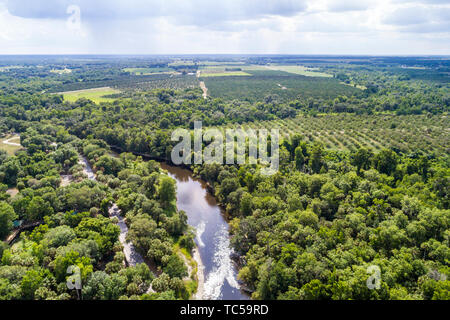 Florida, Zolfo Springs, Peace River, Pioneer Park Hardee County Wildlife Refuge, vista aerea dall'alto, FL190514d39 Foto Stock