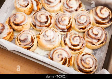 Appena sfornato cinnabons fatti in casa panini alla cannella con latte glassa di zucchero in una teglia Foto Stock