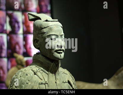 I guerrieri di terracotta e cavalli del mausoleo di Qin Shihuang in museo. Foto Stock