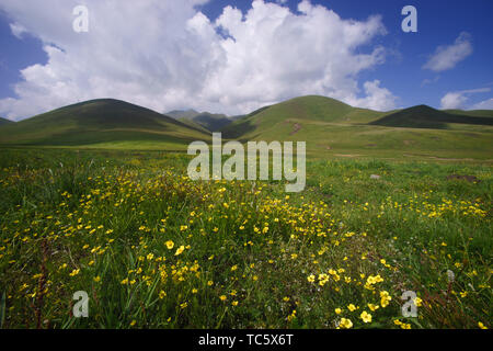 Sanke Gannan prairie Foto Stock