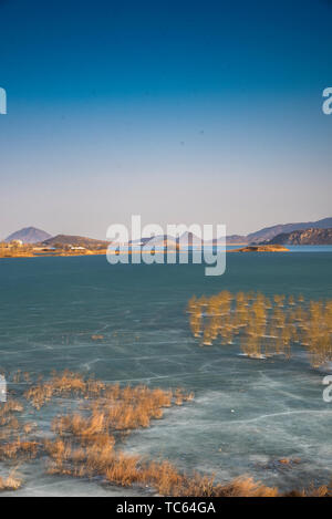 Il 5 marzo il ghiaccio e la neve ha cominciato a fondere e alberi restituiti a verde di Hengshan Lago in Shijiazhuang, nella provincia di Hebei. Foto Stock