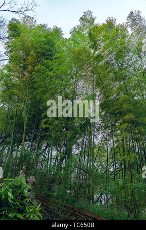 Huqiu Mountain Scenic Area, Suzhou Foto Stock