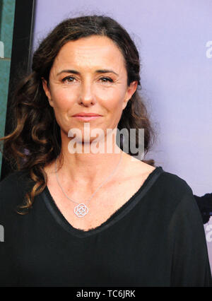 Los Angeles, California, Stati Uniti d'America 5 Giugno 2019 Direttore Leila Conners assiste HBO presenta il Los Angeles Premiere del HBo film documentario "ICE ON FIRE" il 5 giugno 2019 a LACMA di Los Angeles, California, USA. Foto di Barry re/Alamy Live News Foto Stock