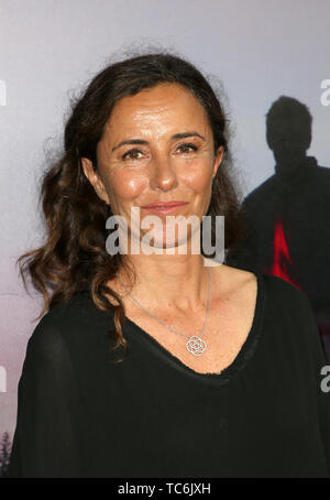 Los Angeles, California, USA. 05 Giugno, 2019. Leila Conners, assiste la premiere di HBO 'ghiaccio sul fuoco' a LACMA su Giugno 05, 2019 a Los Angeles, California. Credito: Faye Sadou/media/punzone Alamy Live News Foto Stock