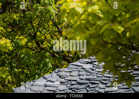 Londra, Regno Unito. 05 Giugno, 2019. Serpentine Pavilion 2019, progettato da Tokyo in base Junya Ishigami + Associates. Si apre il 21 giugno. Credito: Guy Bell/Alamy Live News Foto Stock