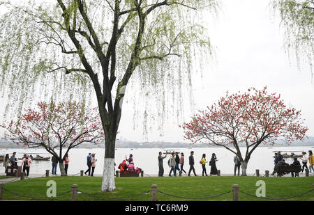 (190606) -- PECHINO, 6 giugno 2019 (Xinhua) -- turisti visitano il Baidi causeway del West Lake scenic area in Hangzhou, capitale della provincia di Zhejiang, 2 aprile 2019. Giacente in cinese della costa sud-orientale, nella provincia di Zhejiang costituisce l'ala sud del delta del fiume Yangtze. Nel corso degli anni la Provincia ha ottenuto grandi successi in termini di sviluppo ecologico. Come per ogni locale autorità ecologici, Zhejiang ha visto un miglioramento continuo nel suo ambiente naturale nel 2018, non da ultimo in materia di qualità delle acque e la copertura forestale. Attraverso il miglioramento delle condizioni di vita nelle campagne, abbracciando un persp ecologico Foto Stock