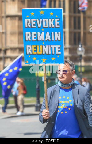 Londra REGNO UNITO. Il 6 giugno 2019. Pro rimangono manifestanti da SODEM Stand di Defiance Movimento europeo continuano a protestare al di fuori della sede del Parlamento e la campagna per fermare Brexit e revocare l'articolo 50. Il Partito Conservatore è rivolto verso la leadership contest in seguito alle dimissioni del Primo Ministro Theresa Maggio Credito: amer ghazzal/Alamy Live News Foto Stock