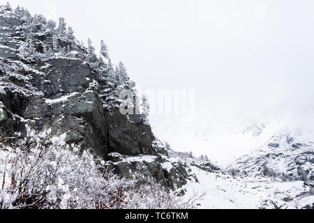 Inverno in montagna. Snowy pini sulla collina, frosty meteo nella foresta dopo la nevicata Foto Stock