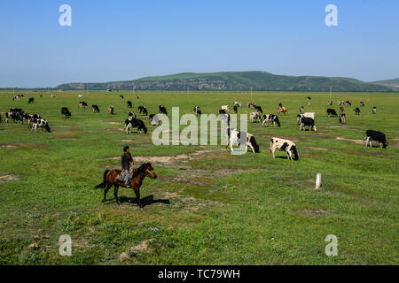 Scenario del Fiume Gen zona umida prateria, Hulunbuir Città della Mongolia interna Foto Stock