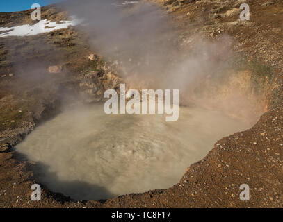 Una fumante e fango bollente bacino in Islanda vicino Reykjadalur Foto Stock