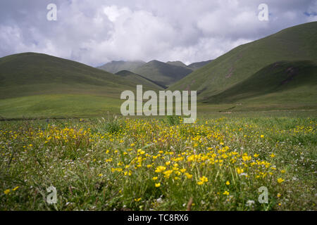 Sanke Gannan prairie Foto Stock