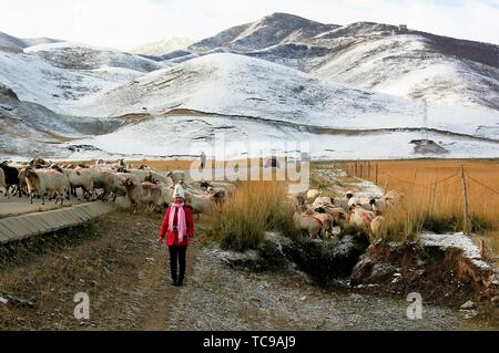 Il tour passa attraverso Qingyi appena la prima neve, il paesaggio di neve è spettacolare, il panorama è bellissimo. Quindi prendere queste immagini del bellissimo scenario delle montagne di neve. Foto Stock