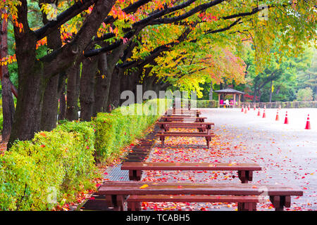 Strada con tavoli di legno e panche in posizione di parcheggio Foto Stock