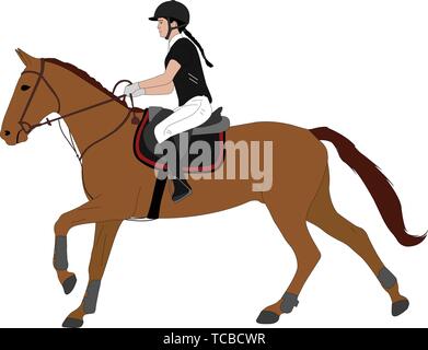 Giovane donna cavallo horsecolor illustrazione. Sport Equestri. Equitazione - Dressage vettore Illustrazione Vettoriale