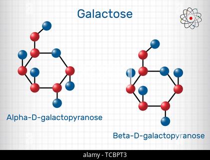 Il galattosio, alfa-D-galattopiranosio, beta-D-galattopiranosio, latte molecola di zucchero. Forma ciclica. Foglio di carta in una gabbia. Formula chimica di struttura di un Illustrazione Vettoriale