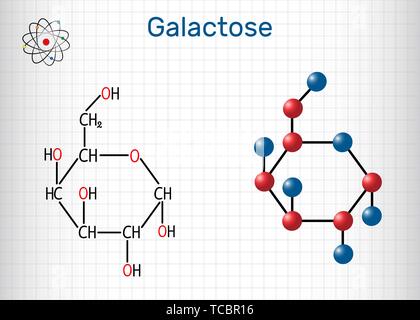 Il galattosio, alfa-D-galattopiranosio, latte molecola di zucchero. Forma ciclica. Formula chimica di struttura e la molecola modello. Foglio di carta in una gabbia. Vettore Illustrazione Vettoriale