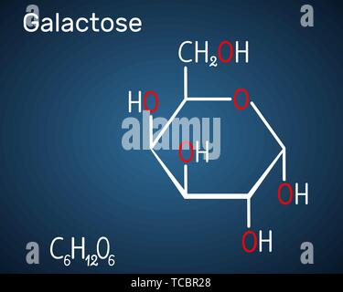 Il galattosio, alfa-D-galattopiranosio, latte molecola di zucchero. Forma ciclica. Formula chimica di struttura su sfondo blu scuro. Illustrazione Vettoriale Illustrazione Vettoriale