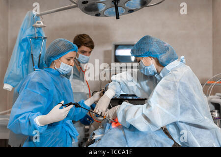 Vet eseguendo l'operazione di sterilizzazione. Il gatto sul tavolo operatorio in una clinica veterinaria. Gatto in un ambulatorio veterinario , l'utero e ovaie Foto Stock