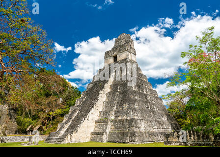 Tempio della grande Jaguar a Tikal in Guatemala Foto Stock