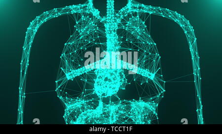 Anatomia del corpo umano modello con punti di connessione, rendering 3D sfondo, concetto medico Foto Stock