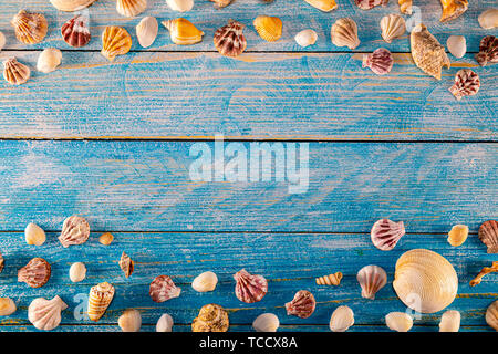 Orario estivo concetto con conchiglie di mare su un blu sullo sfondo di legno. Seashells telaio su sfondo di legno confine nautico. Focus su seashells. Foto Stock