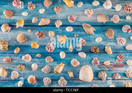 Orario estivo concetto con conchiglie di mare su un blu sullo sfondo di legno e sabbia. Seashells telaio su sfondo di legno confine nautico. Focus su seashells. Foto Stock