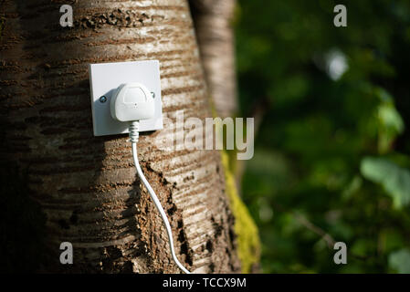 Regno Unito spina elettrica in una presa di alimentazione in una struttura ad albero. Concetto Ecologico, che simboleggiano le fonti di energia verde, bio energy Foto Stock