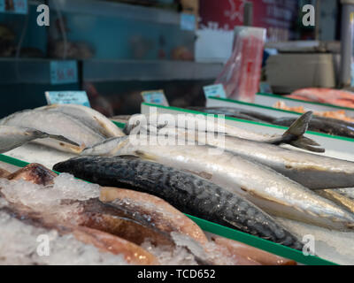 Vari pesci seduti sul ghiaccio nel negozio di alimentari sezione di frutti di mare per l'acquisto Foto Stock